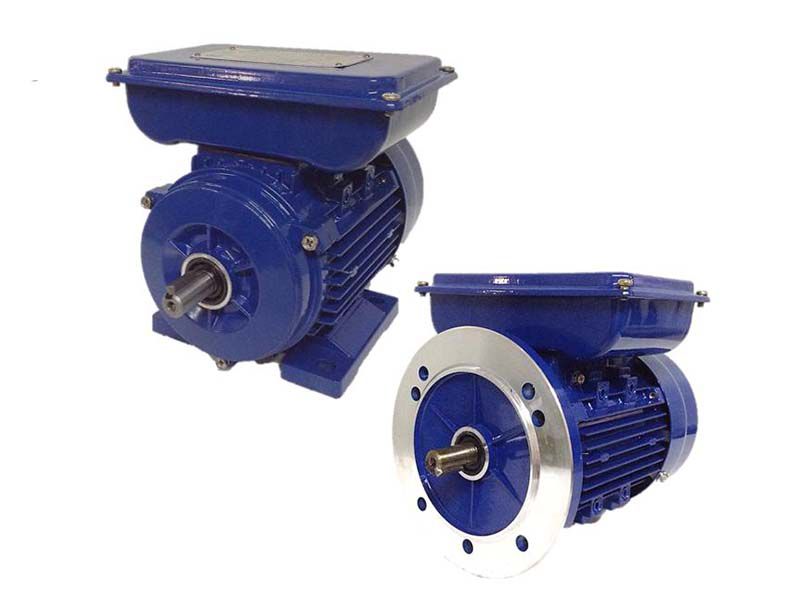 INDUCTION MOTORS